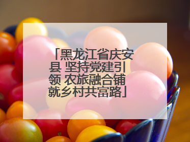 黑龙江省庆安县 坚持党建引领 农旅融合铺就乡村共富路
