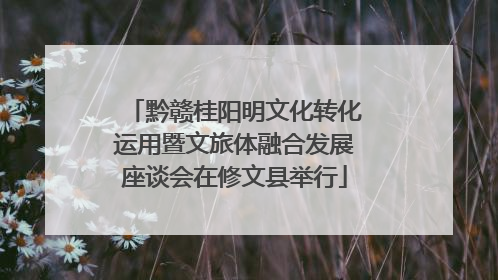 黔赣桂阳明文化转化运用暨文旅体融合发展座谈会在修文县举行