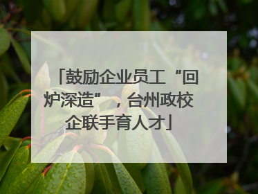 鼓励企业员工“回炉深造”，台州政校企联手育人才