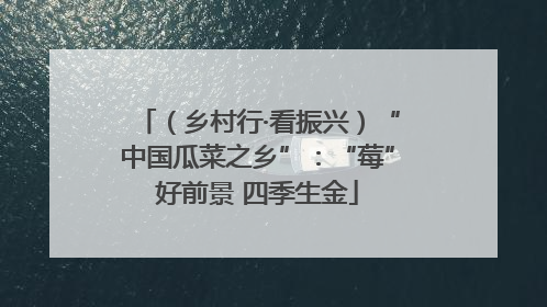 （乡村行·看振兴）“中国瓜菜之乡”：“莓”好前景 四季生金