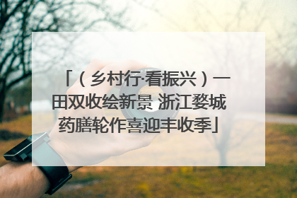 （乡村行·看振兴）一田双收绘新景 浙江婺城药膳轮作喜迎丰收季