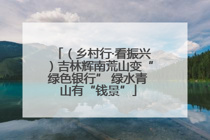 （乡村行·看振兴）吉林辉南荒山变“绿色银行” 绿水青山有“钱景”