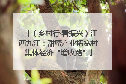 （乡村行·看振兴）江西九江：甜蜜产业拓宽村集体经济“增收路”