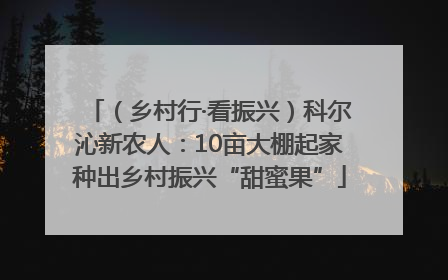 （乡村行·看振兴）科尔沁新农人：10亩大棚起家种出乡村振兴“甜蜜果”
