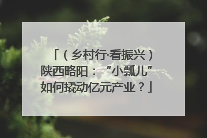 （乡村行·看振兴）陕西略阳：“小瓢儿”如何撬动亿元产业？