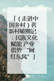（走进中国乡村）茗新村破圈记：民族文化赋能 产业借势 “网红东风”