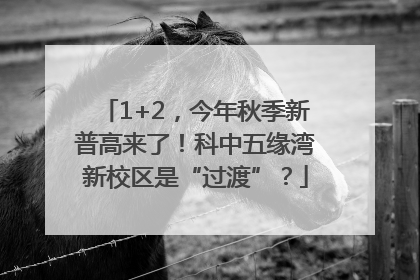 1+2，今年秋季新普高来了！科中五缘湾新校区是“过渡”？