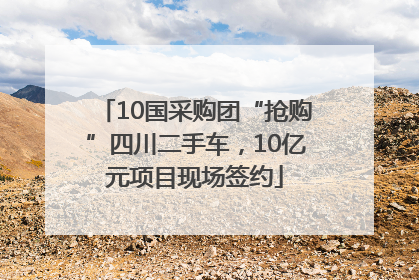 10国采购团“抢购”四川二手车，10亿元项目现场签约