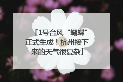 1号台风“蝴蝶”正式生成！杭州接下来的天气很复杂