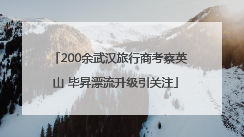 200余武汉旅行商考察英山 毕昇漂流升级引关注