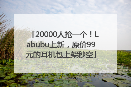 20000人抢一个！Labubu上新，原价99元的耳机包上架秒空