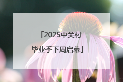 2025中关村毕业季下周启幕