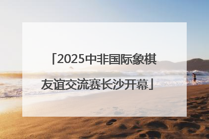 2025中非国际象棋友谊交流赛长沙开幕