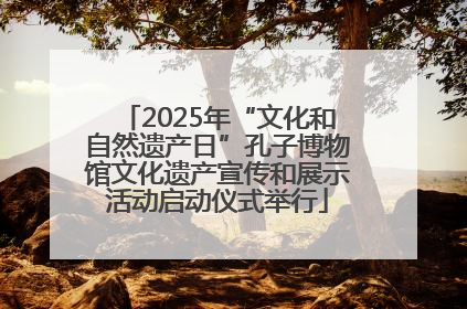 2025年“文化和自然遗产日”孔子博物馆文化遗产宣传和展示活动启动仪式举行