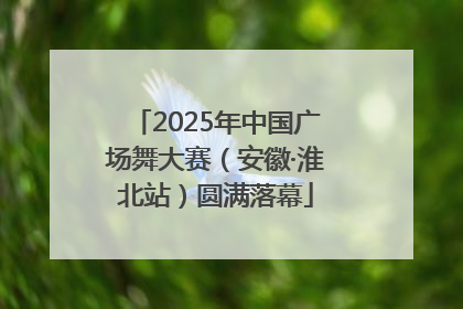 2025年中国广场舞大赛（安徽·淮北站）圆满落幕