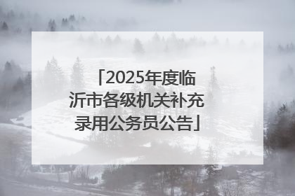 2025年度临沂市各级机关补充录用公务员公告