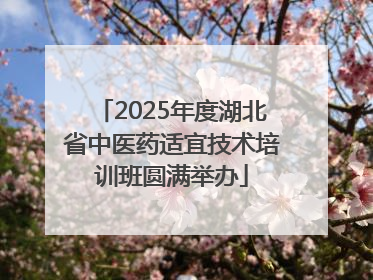 2025年度湖北省中医药适宜技术培训班圆满举办