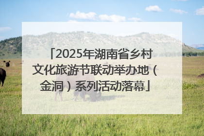 2025年湖南省乡村文化旅游节联动举办地（金洞）系列活动落幕