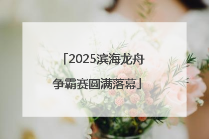 2025滨海龙舟争霸赛圆满落幕