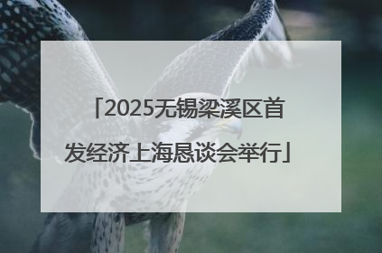 2025无锡梁溪区首发经济上海恳谈会举行