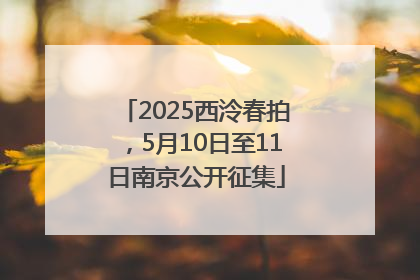 2025西泠春拍，5月10日至11日南京公开征集