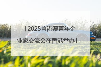 2025鲁港澳青年企业家交流会在香港举办