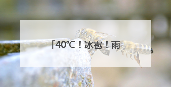 40℃！冰雹！雨雨雨！河南这些地区 请注意防范