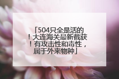 504只全是活的！大连海关最新截获！有攻击性和毒性，属于外来物种