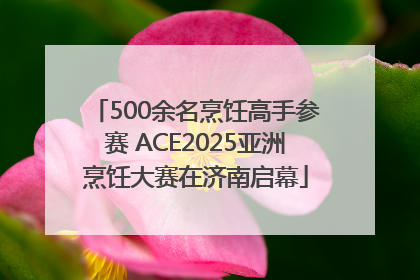 500余名烹饪高手参赛 ACE2025亚洲烹饪大赛在济南启幕