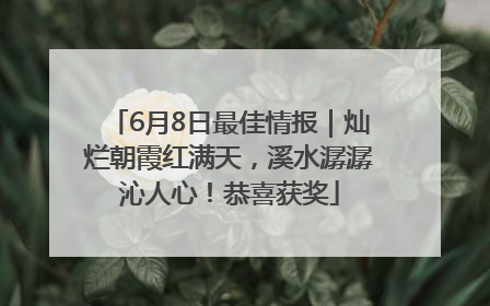 6月8日最佳情报｜灿烂朝霞红满天，溪水潺潺沁人心！恭喜获奖