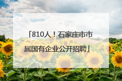 810人！石家庄市市属国有企业公开招聘