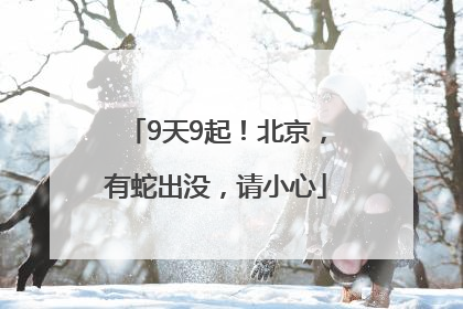 9天9起！北京，有蛇出没，请小心