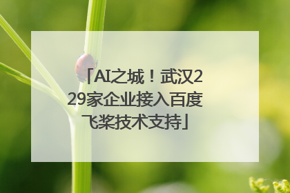 AI之城！武汉229家企业接入百度飞桨技术支持
