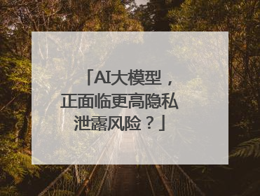 AI大模型，正面临更高隐私泄露风险？