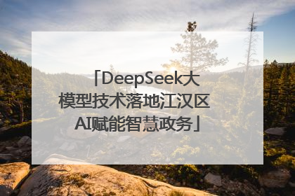 DeepSeek大模型技术落地江汉区 AI赋能智慧政务