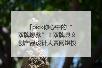 pick你心中的“双牌爆款”！双牌县文创产品设计大赛网络投票评选火热进行中